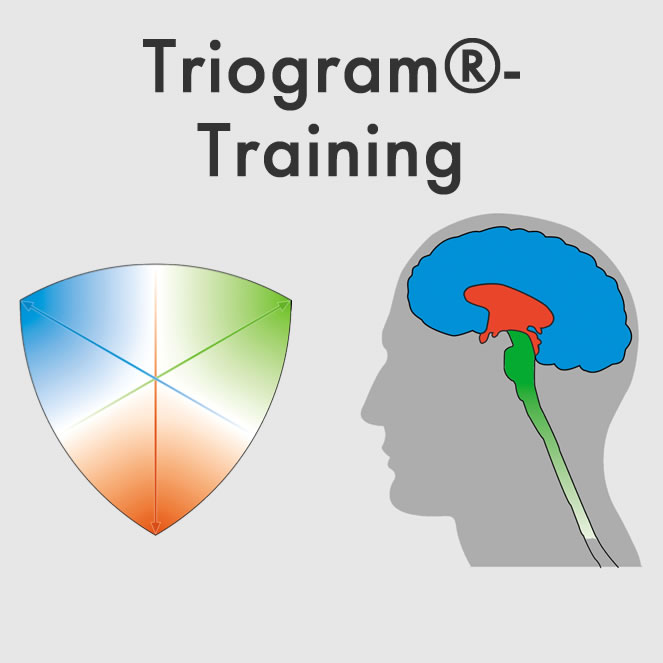 Triogram - Teil 2 der Biostruktur-Analyse